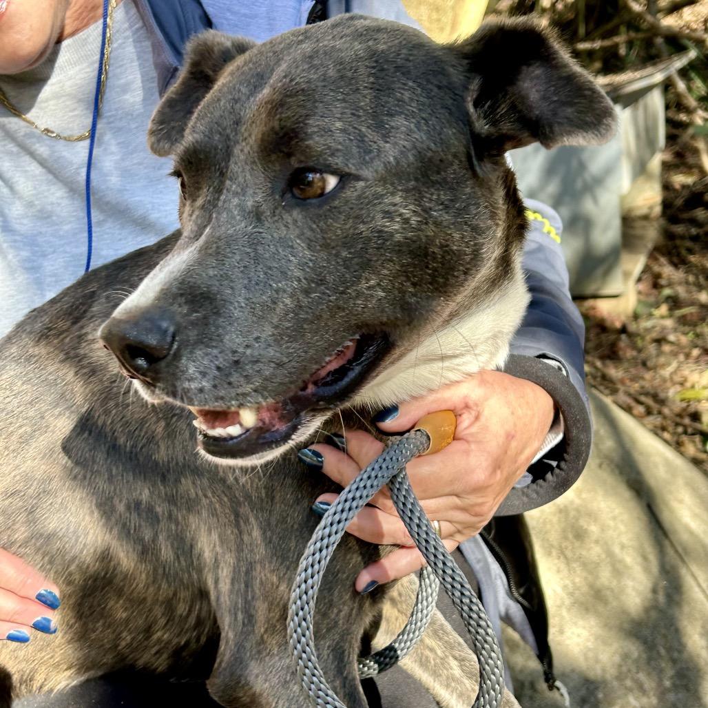 Parfait 2004 — thumbnail 3