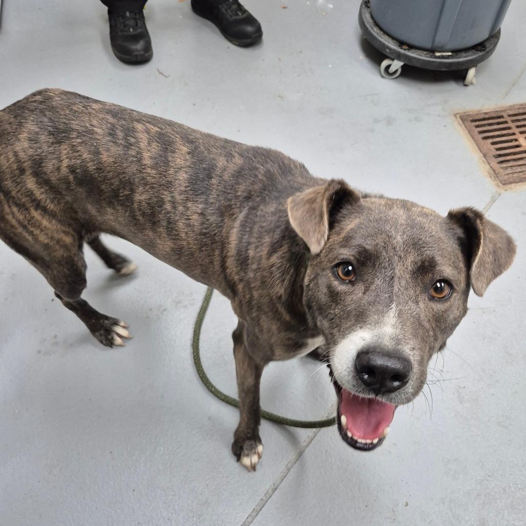 Parfait 2004 — thumbnail 6