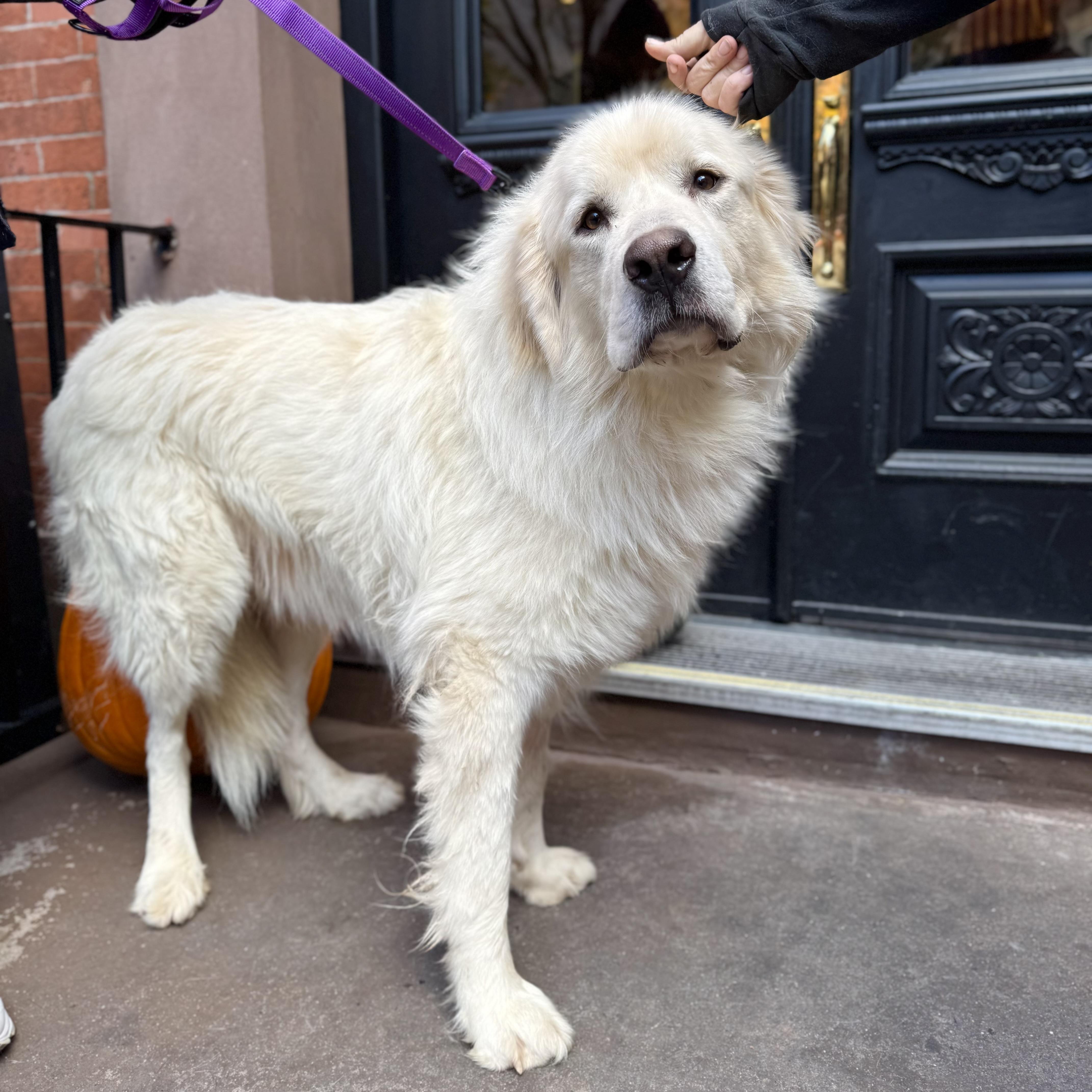 Doctor Sleep thumbnail 4