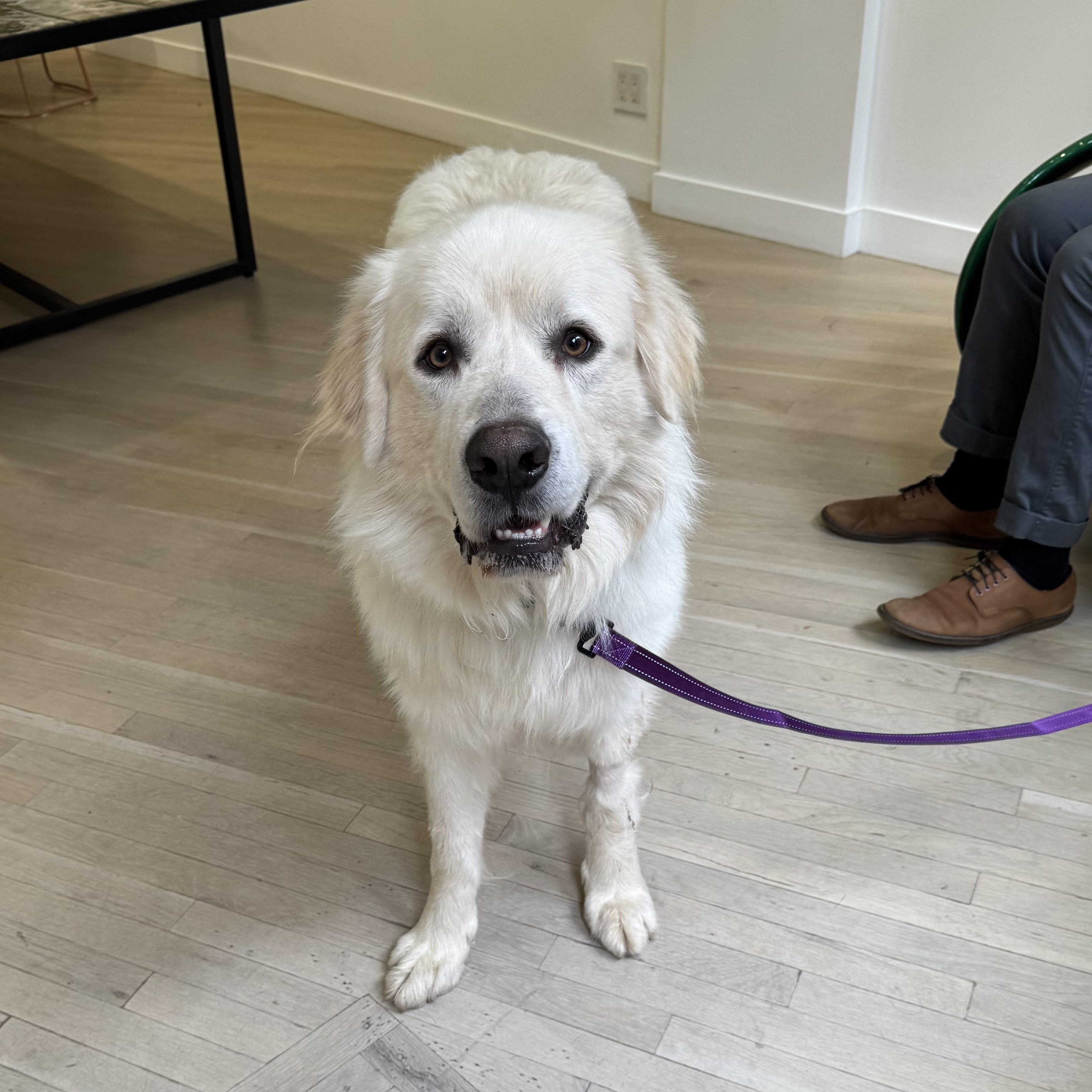 Doctor Sleep thumbnail 5