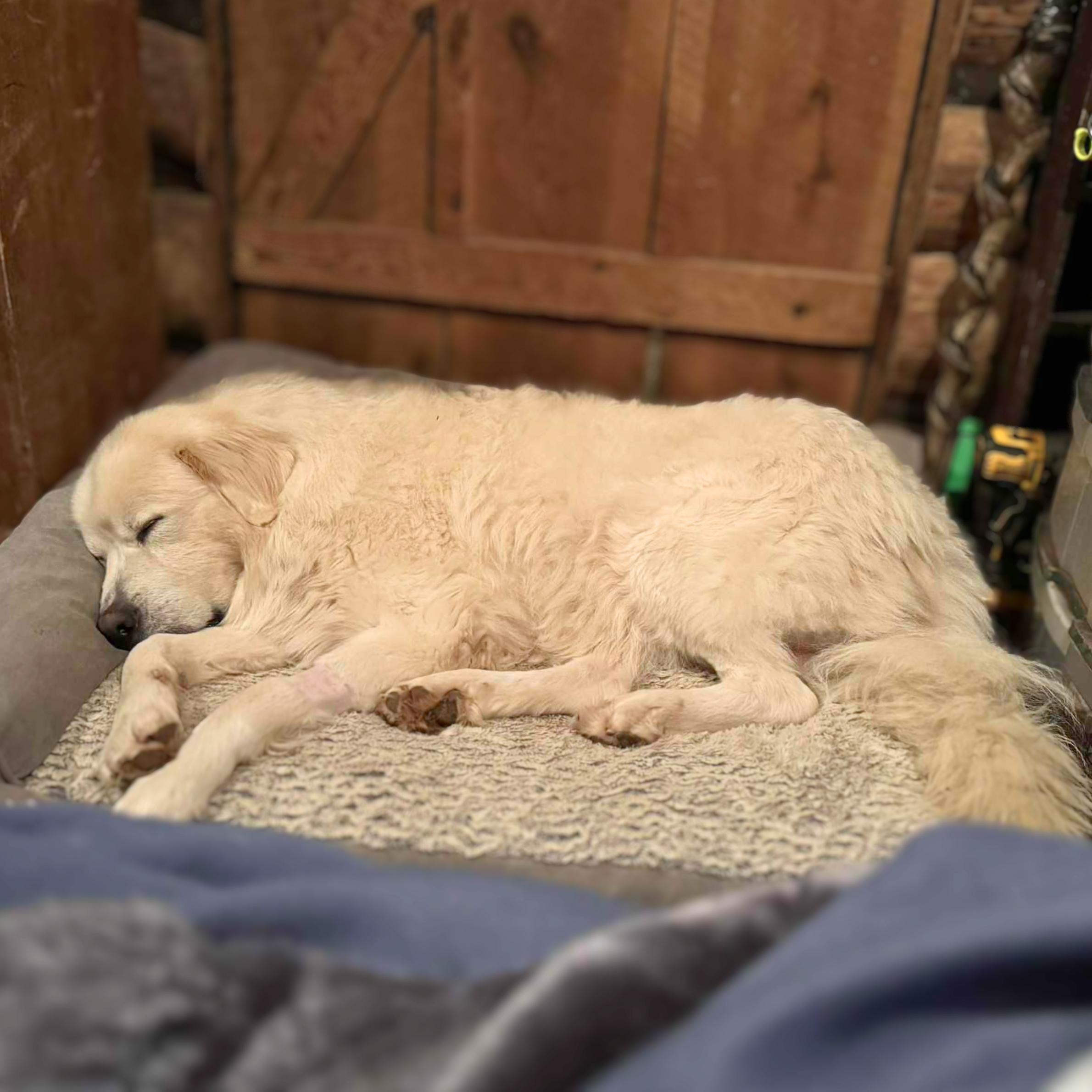 Doctor Sleep thumbnail 2