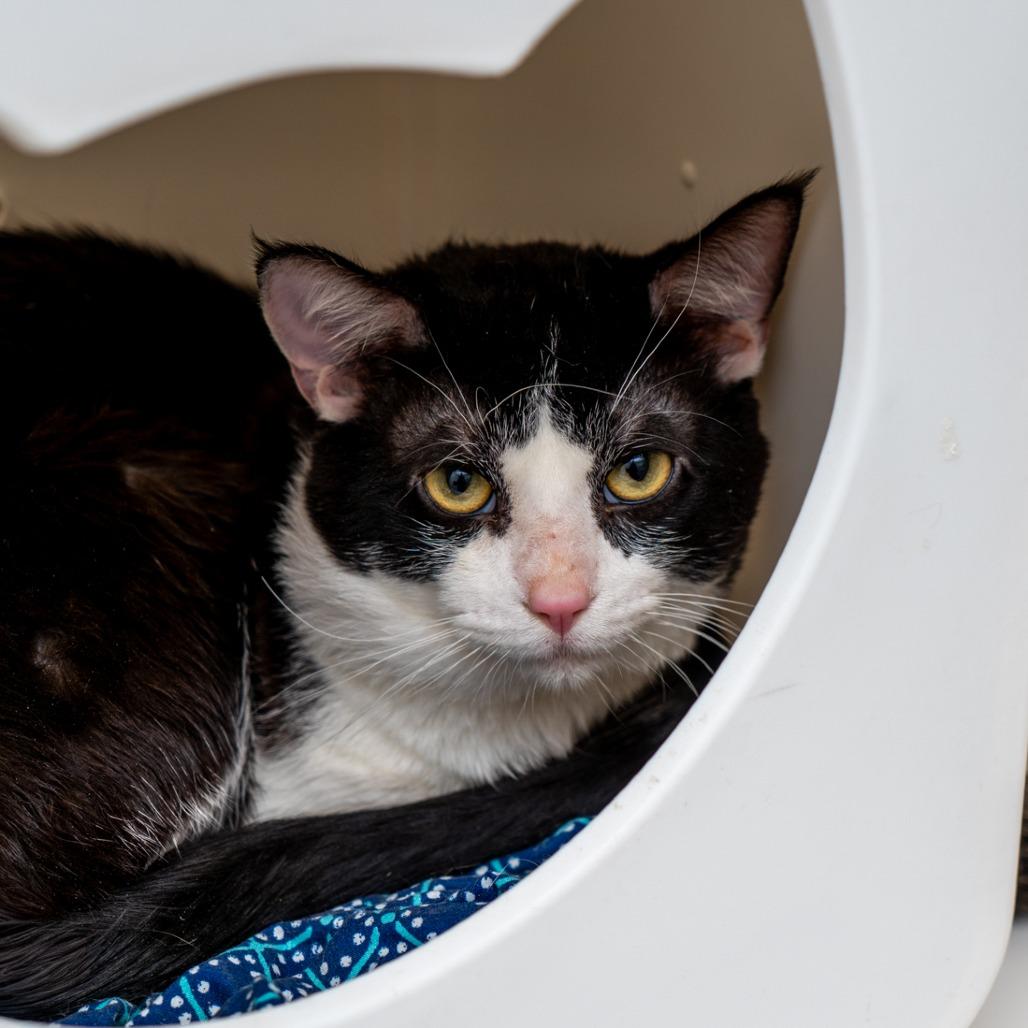 Quarterzip thumbnail 2