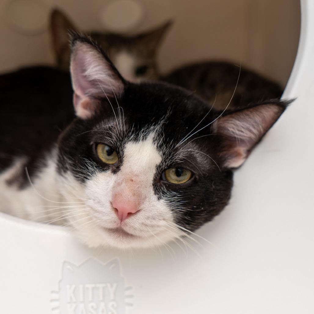 Quarterzip thumbnail 3