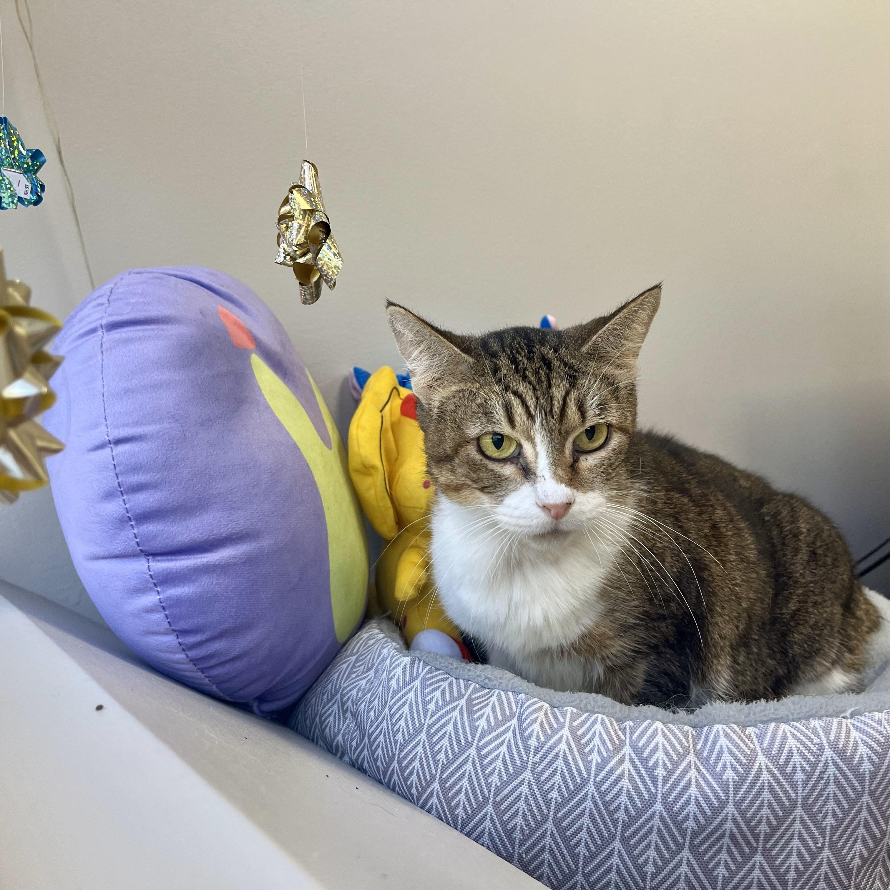 Nef'ertiti — thumbnail 2