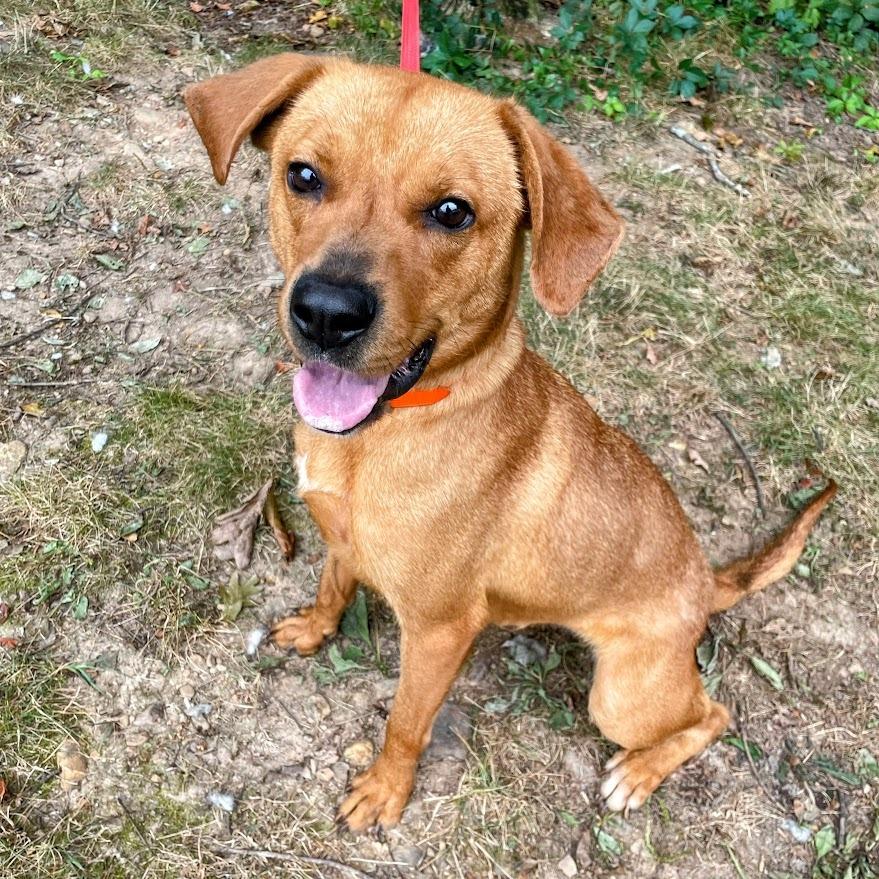 Darla — thumbnail 2