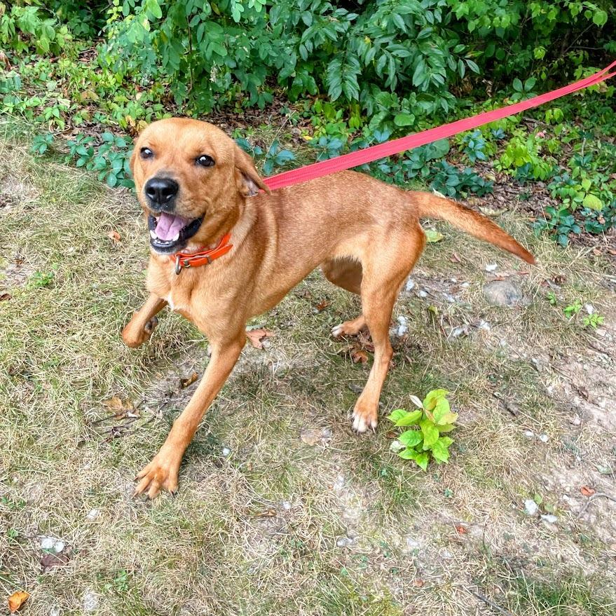 Darla — thumbnail 3