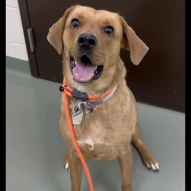 Darla — thumbnail 4