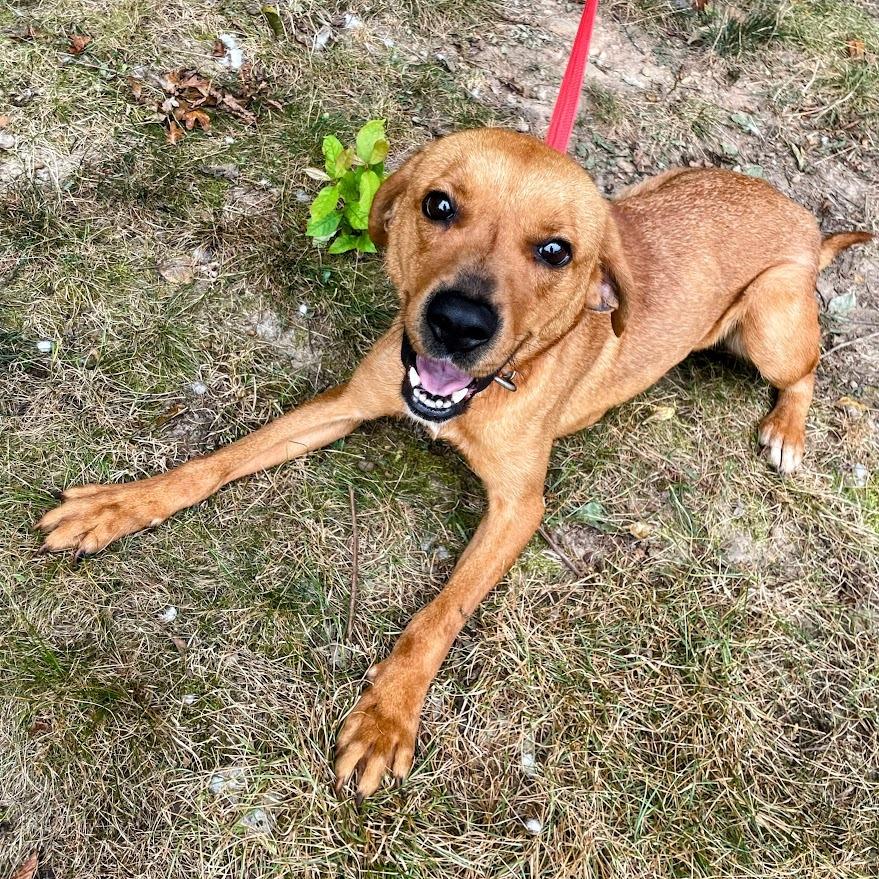 Darla — thumbnail 5