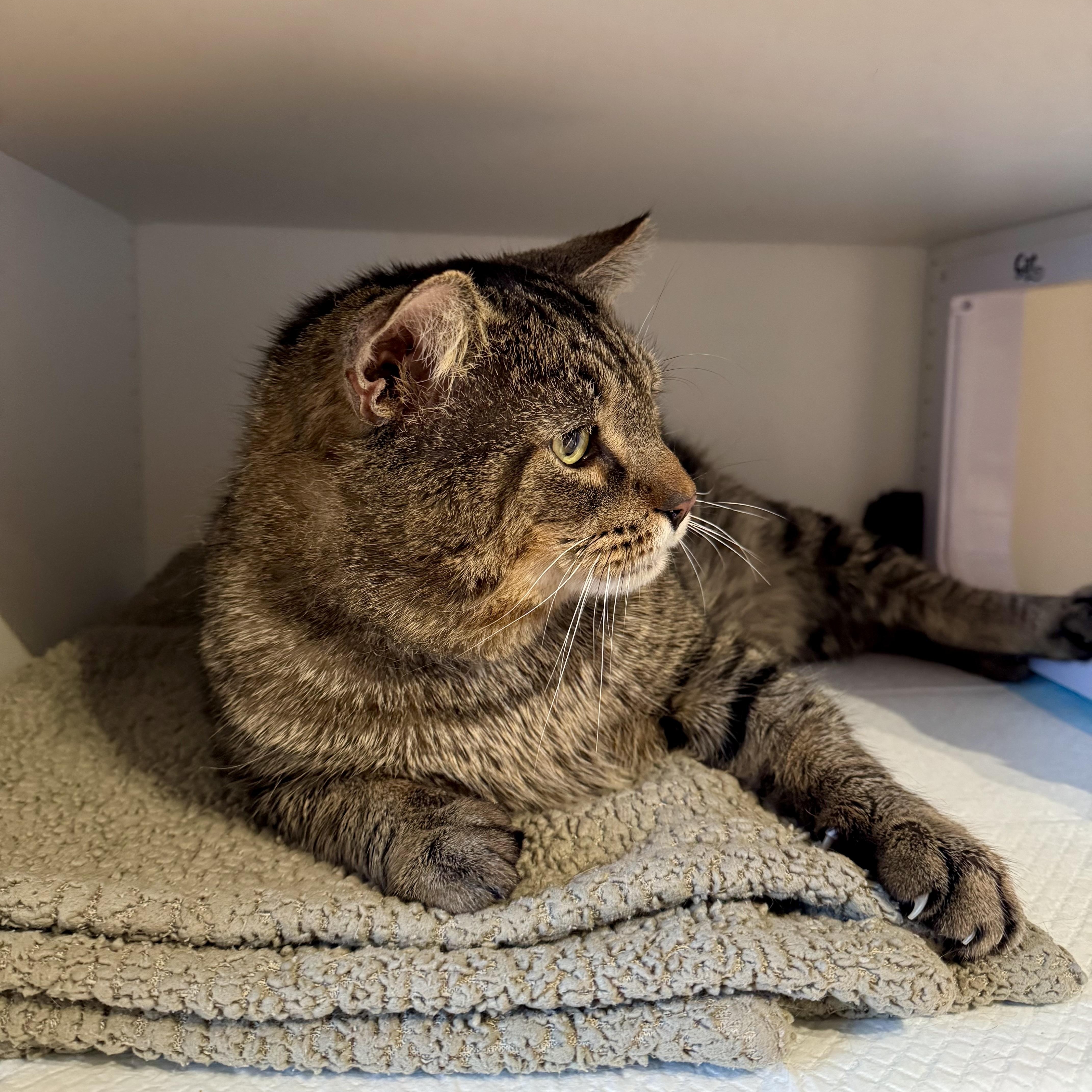 Eugene — thumbnail 2