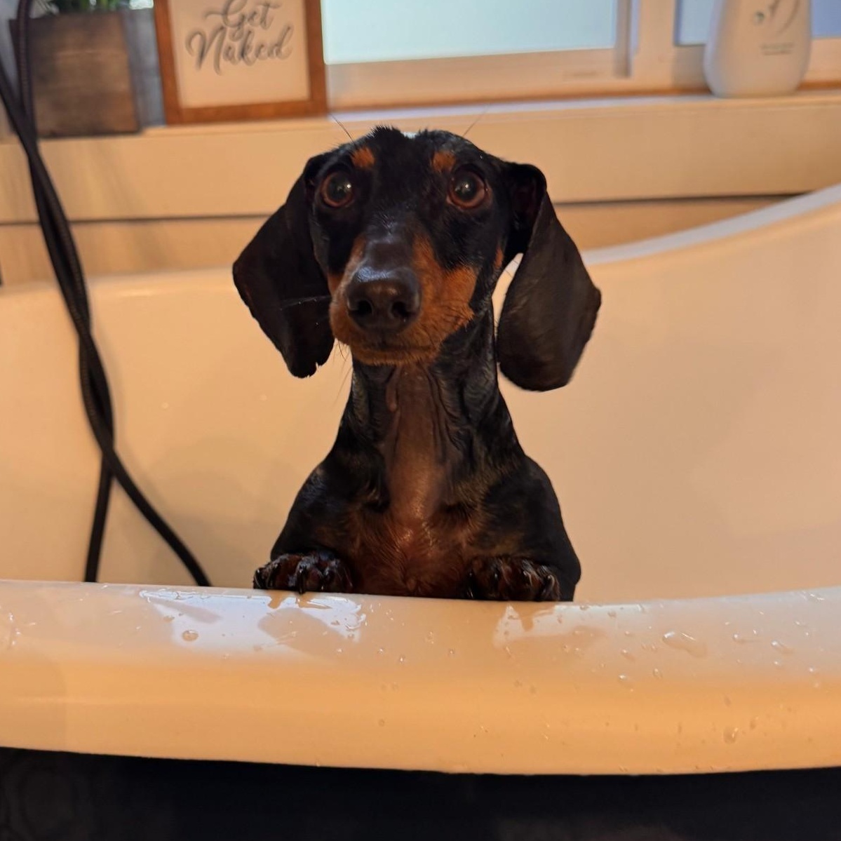 Franklin thumbnail 2