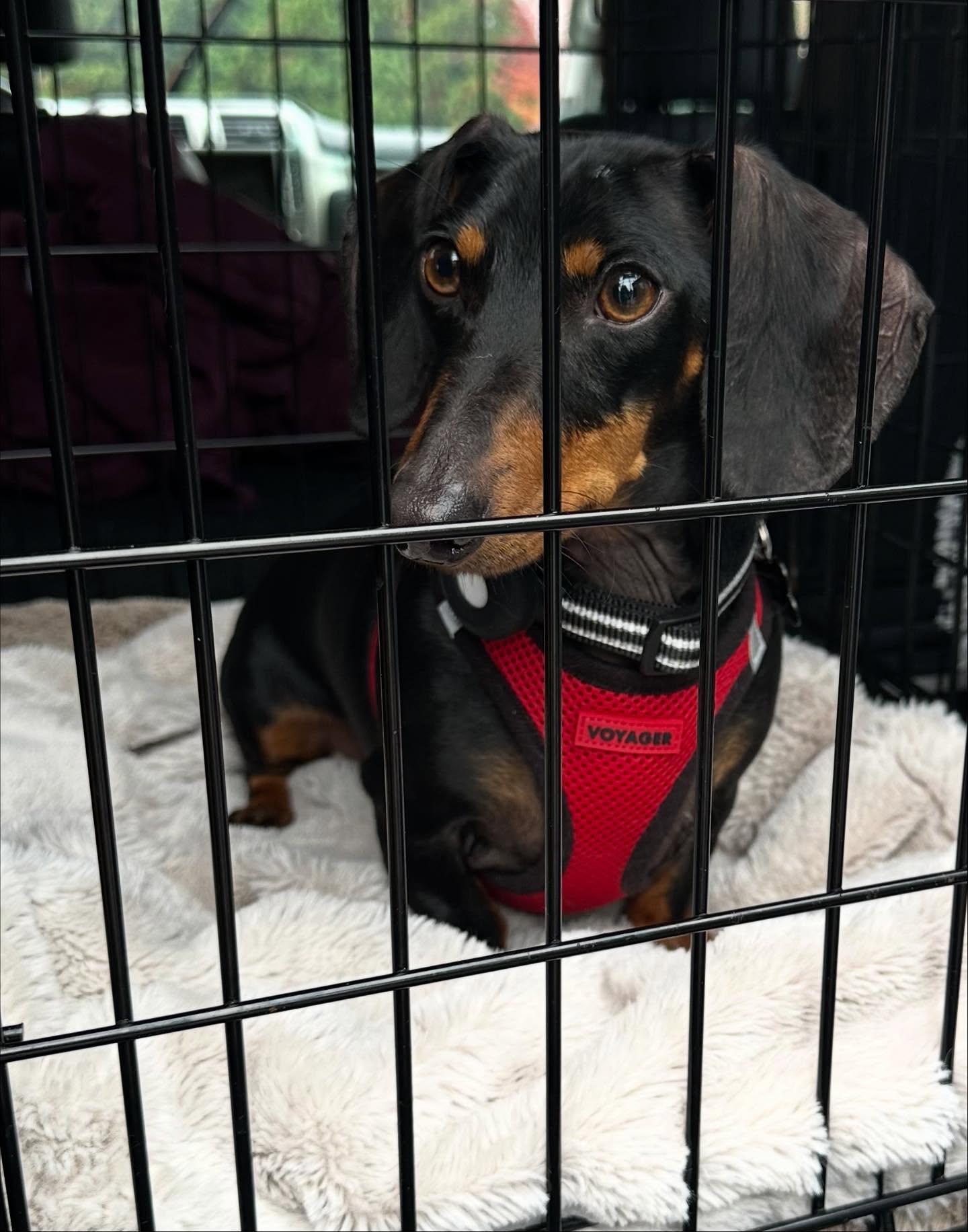 Franklin thumbnail 3