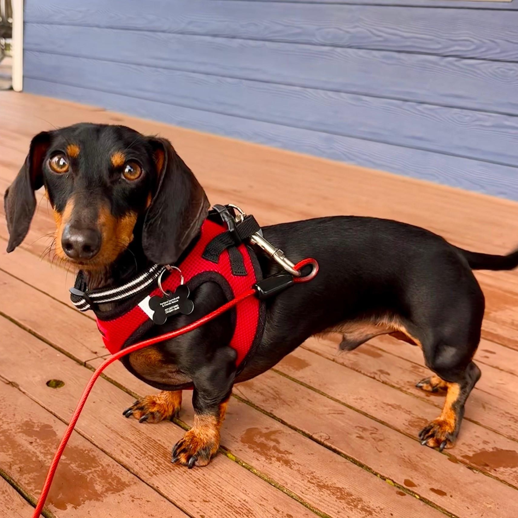 Franklin thumbnail 4