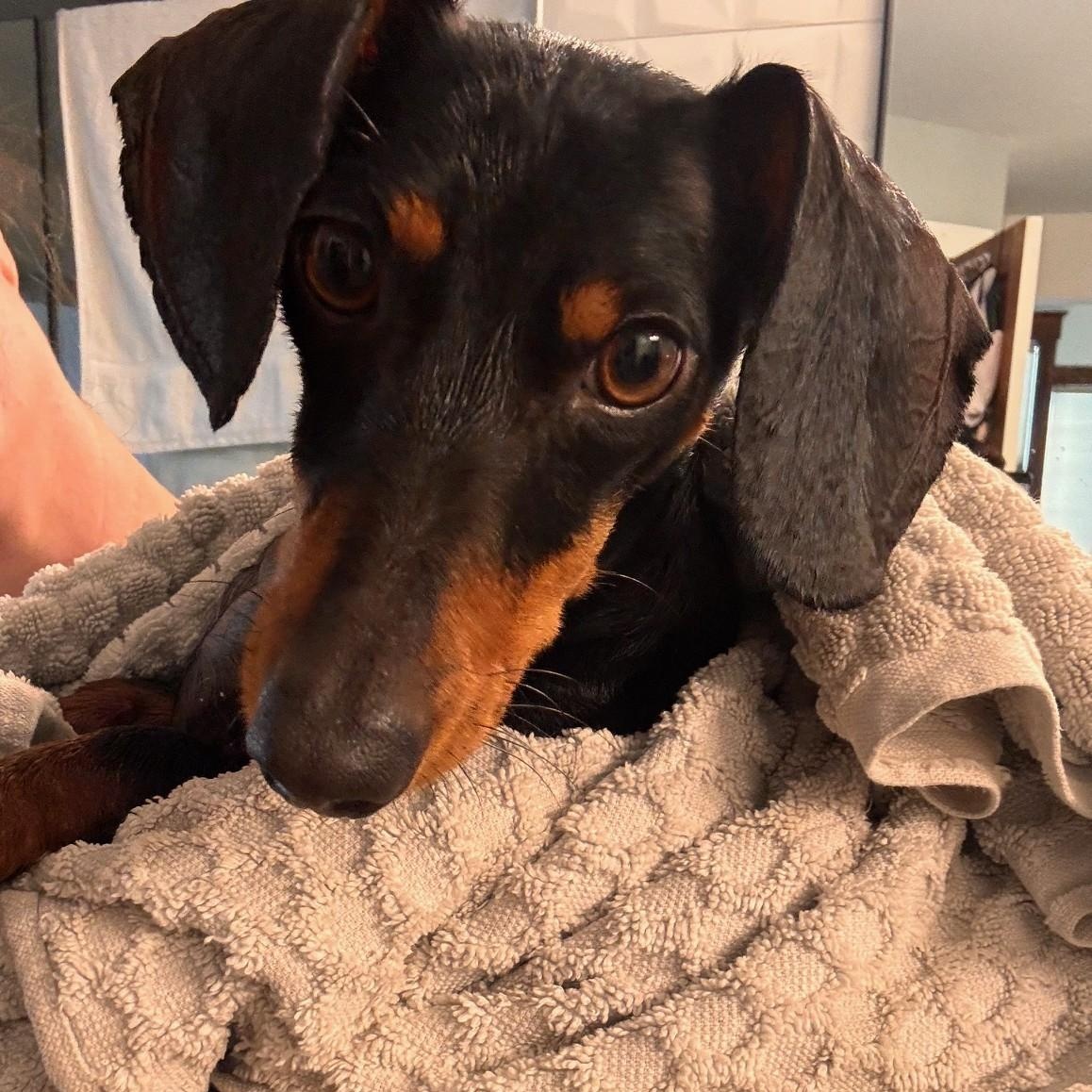 Franklin thumbnail 6