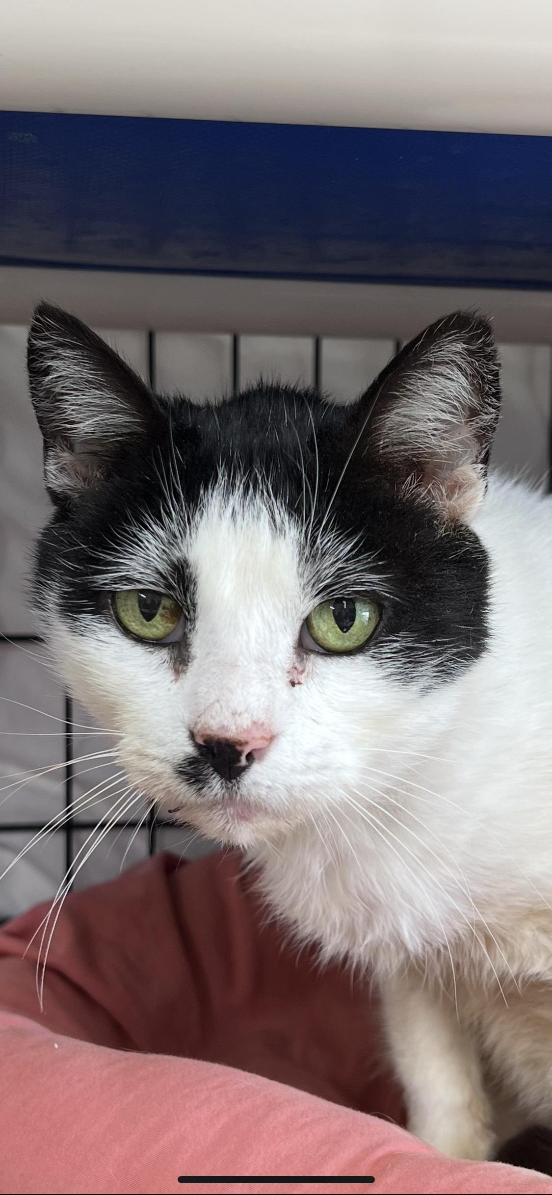 Danny  Willow Grove thumbnail 5