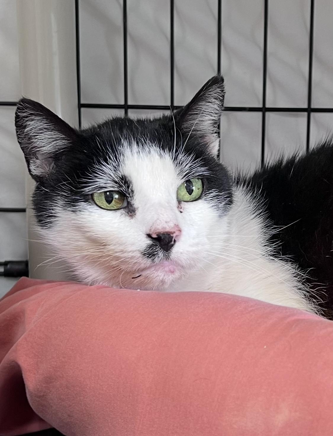 Danny  Willow Grove thumbnail 3