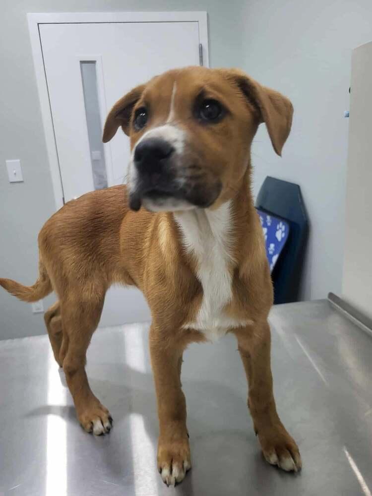 Crew — thumbnail 2