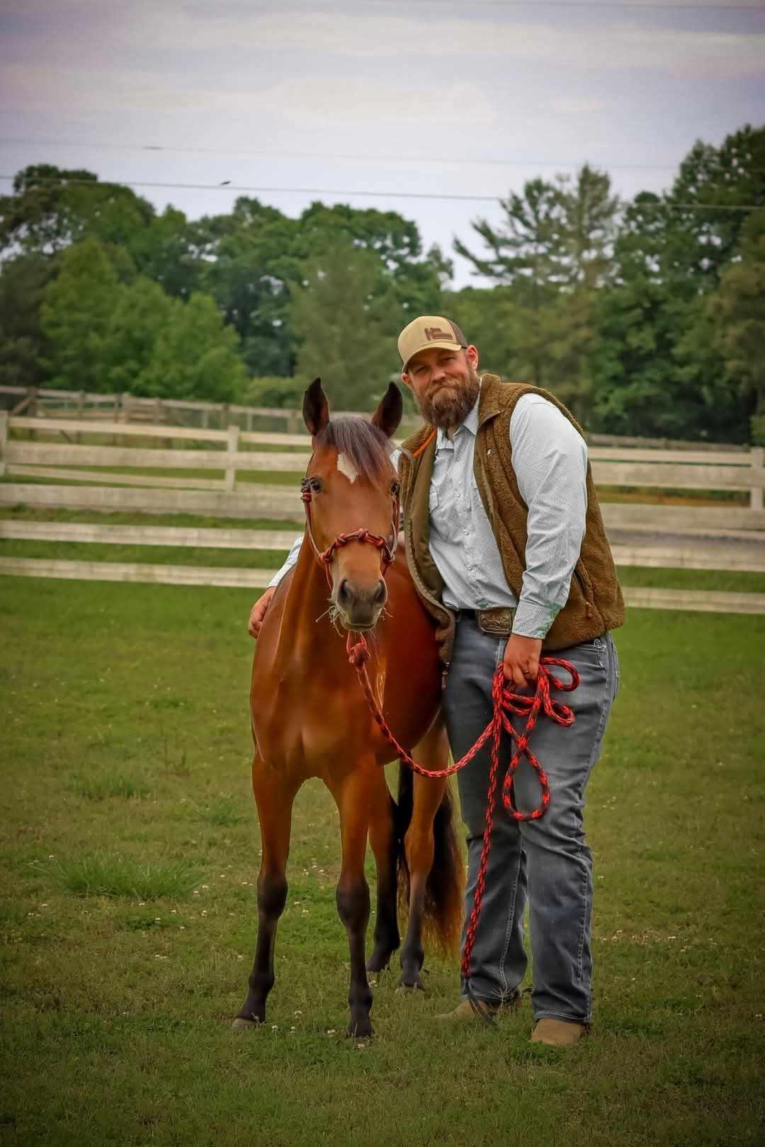 Enlarge Mokey -, a Adoptable Paso Fino in Huntington, WV image 6/6
