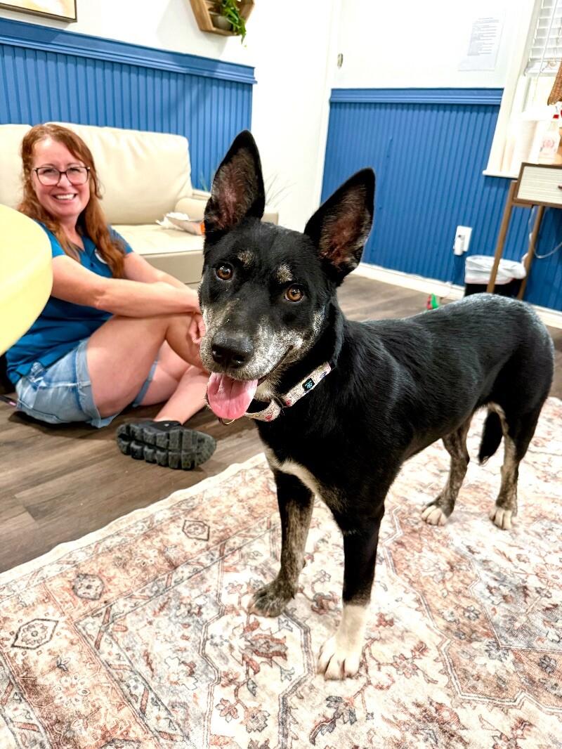 Trixie Loves Little Dogs 5