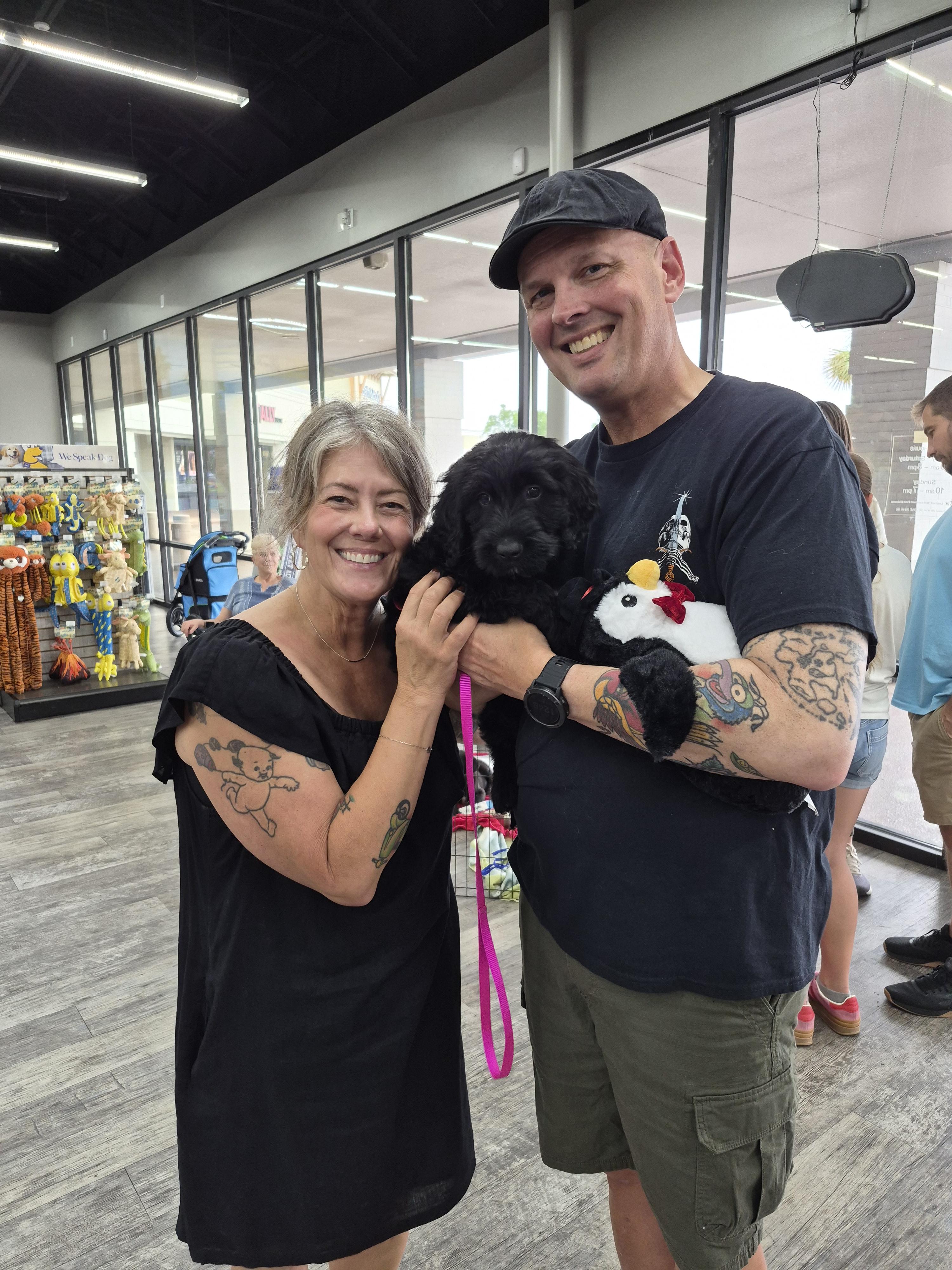 Enlarge Amaris, a Adopted Labrador Retriever in Panama City, FL image 2/3