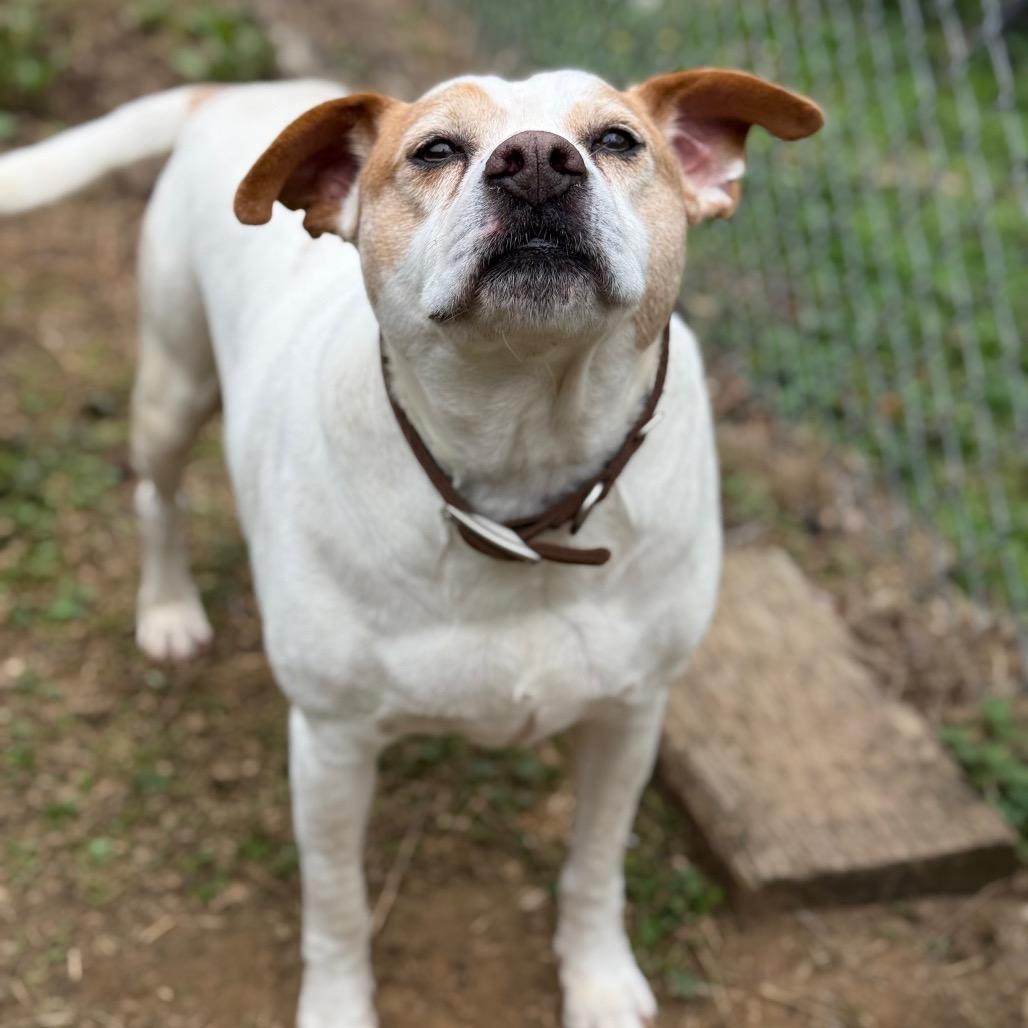 Patrick 9039 — thumbnail 5