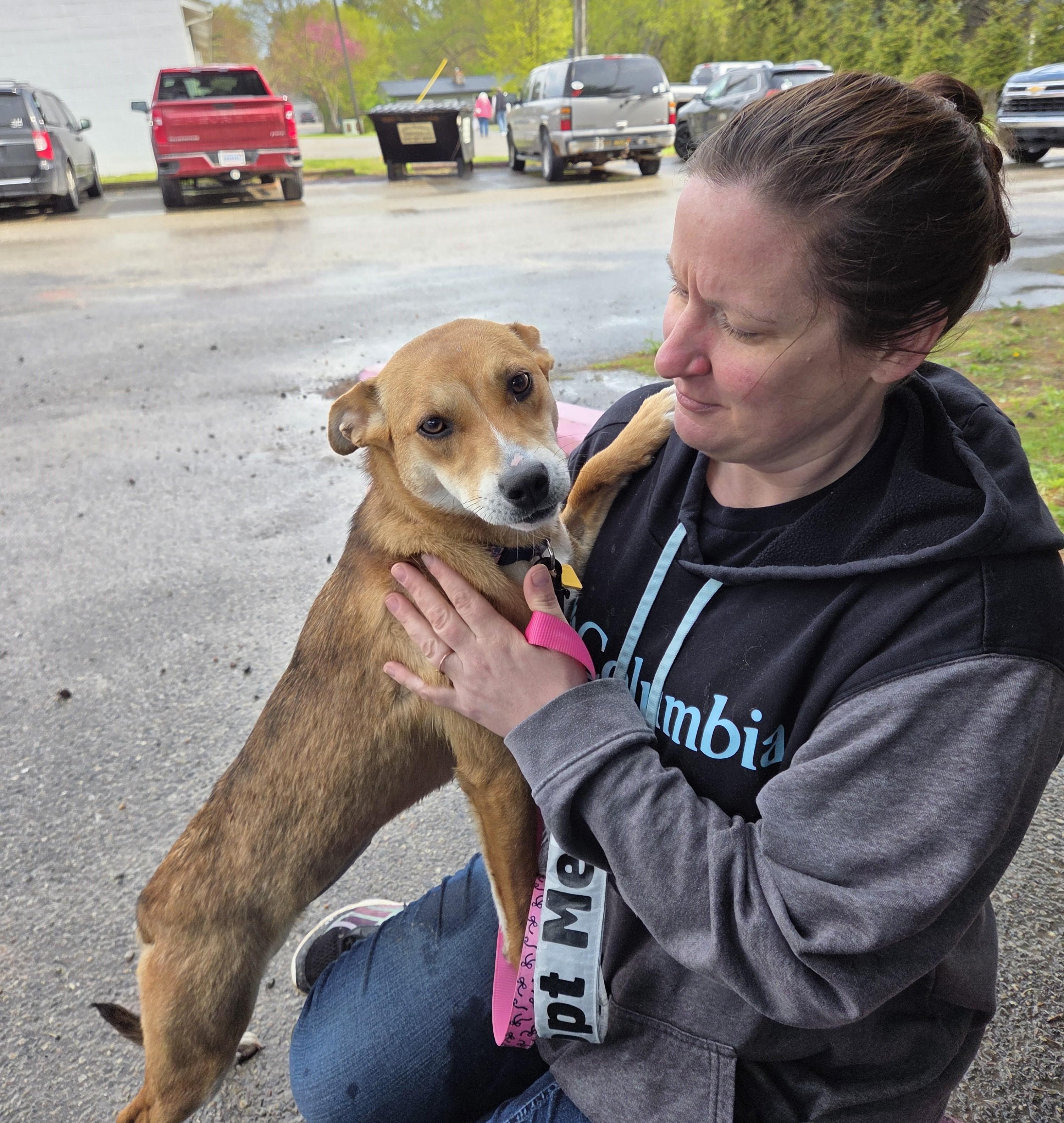 Daisy, a ADOPTABLE mixed breed in Carsonville, MI image 6/6