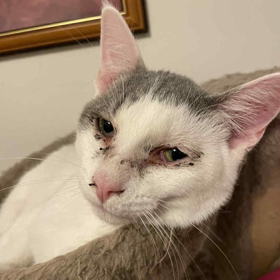 Boots — thumbnail 2