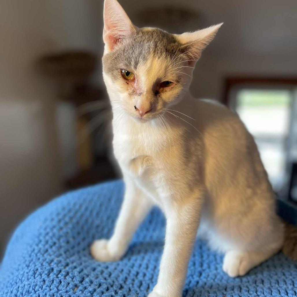 Boots — thumbnail 3