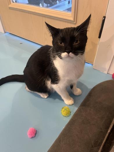 June — thumbnail 2