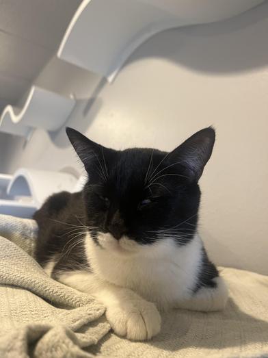 June — thumbnail 4