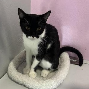 June — thumbnail 5