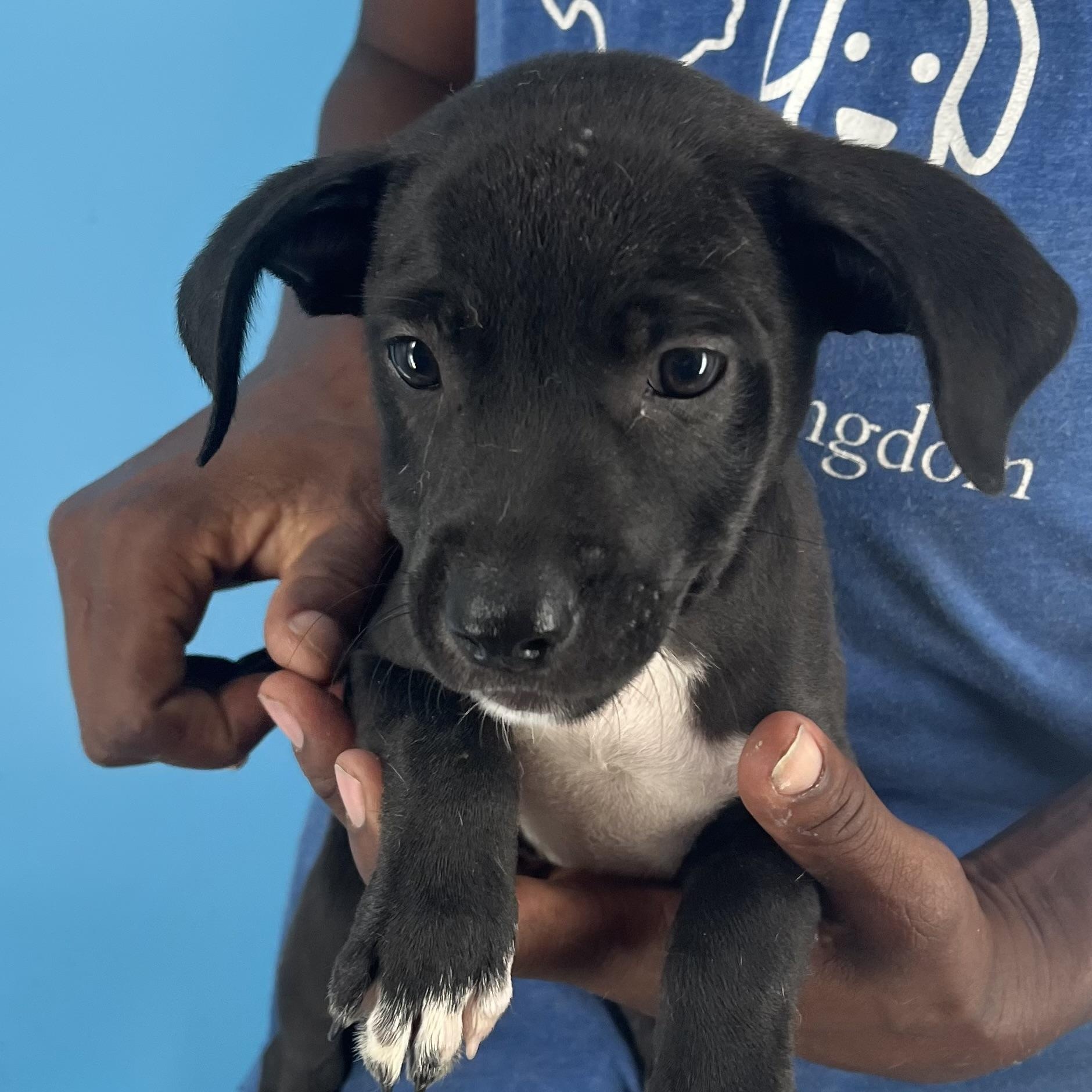 Fina - Local Sept 26-28