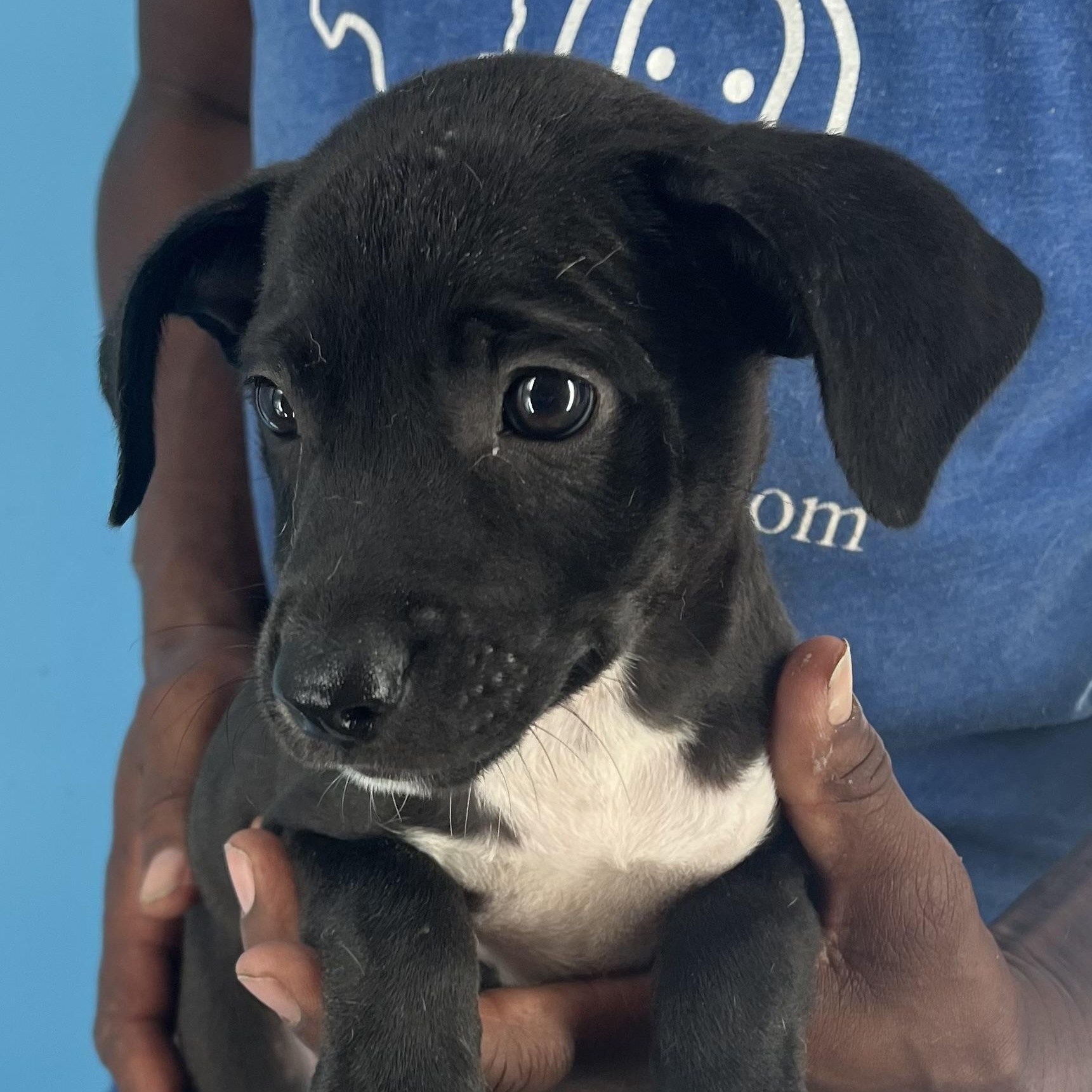 Fina - Local Sept 26-28