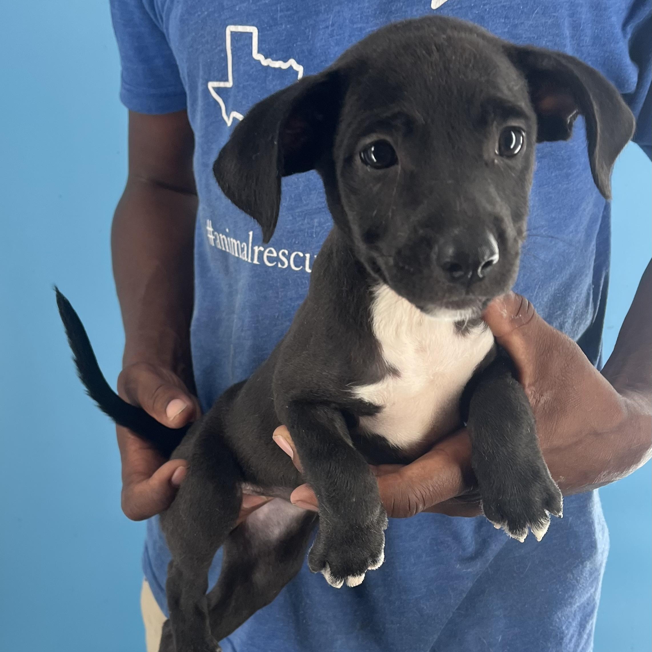 Fina - Local Sept 26-28