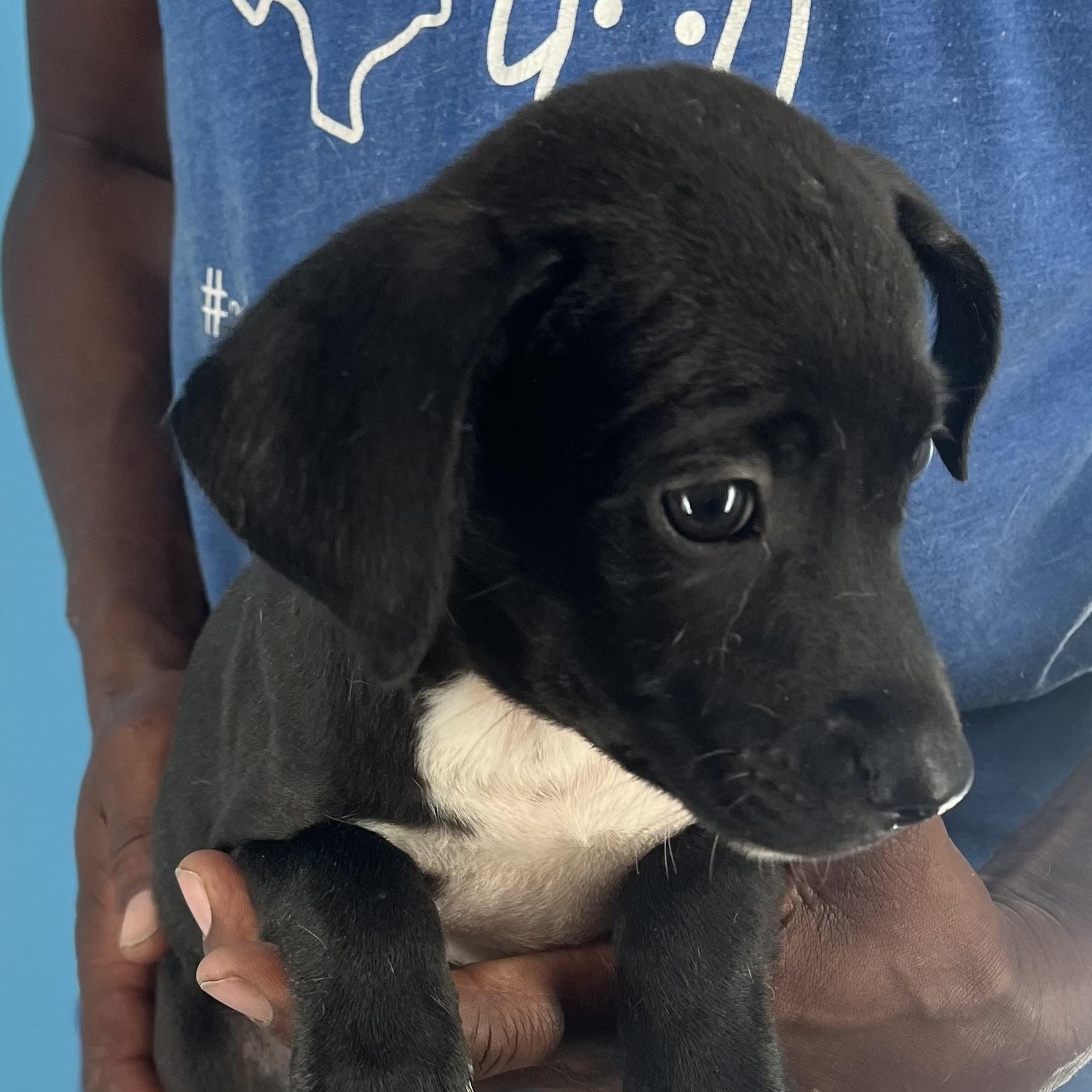 Fina - Local Sept 26-28