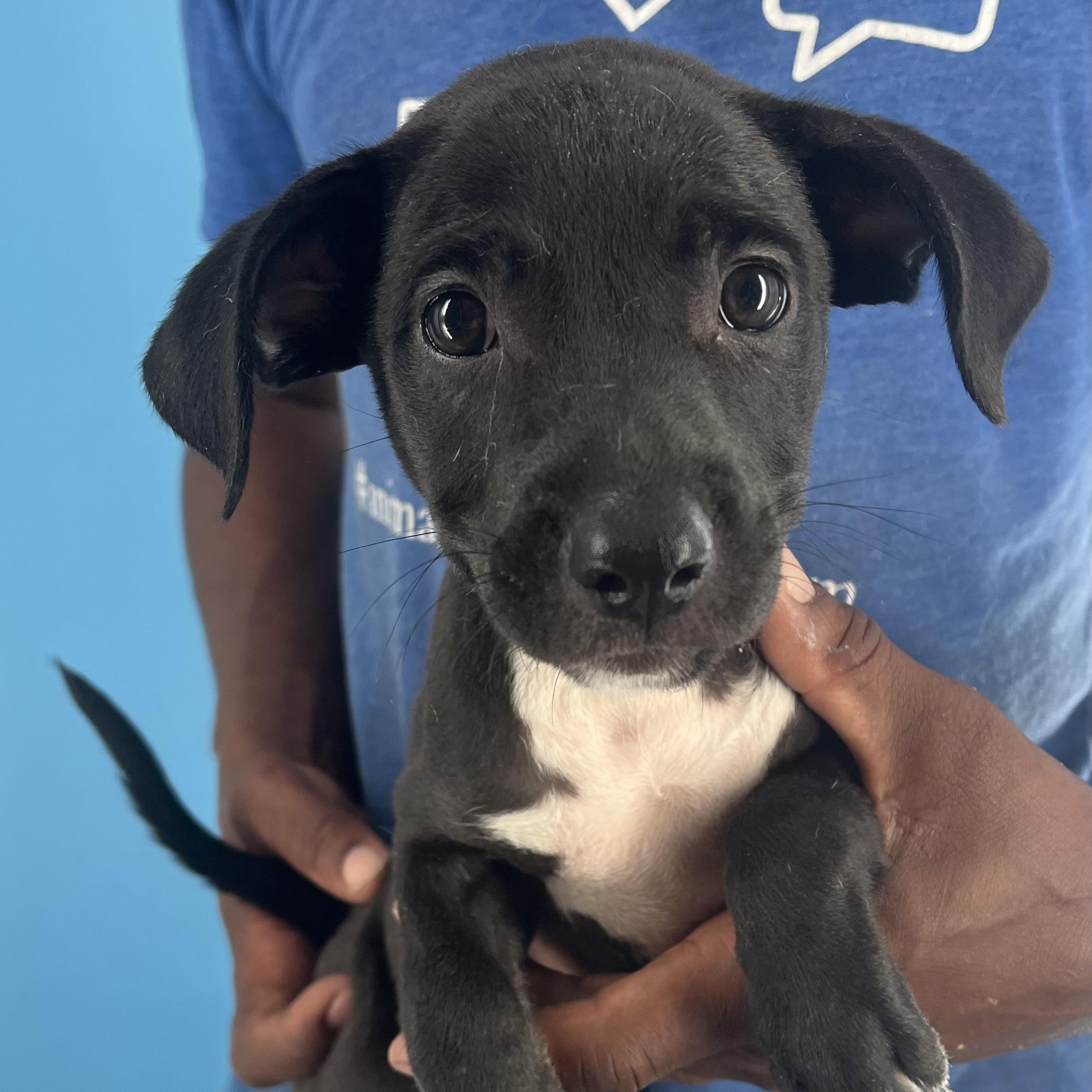 Fina - Local Sept 26-28