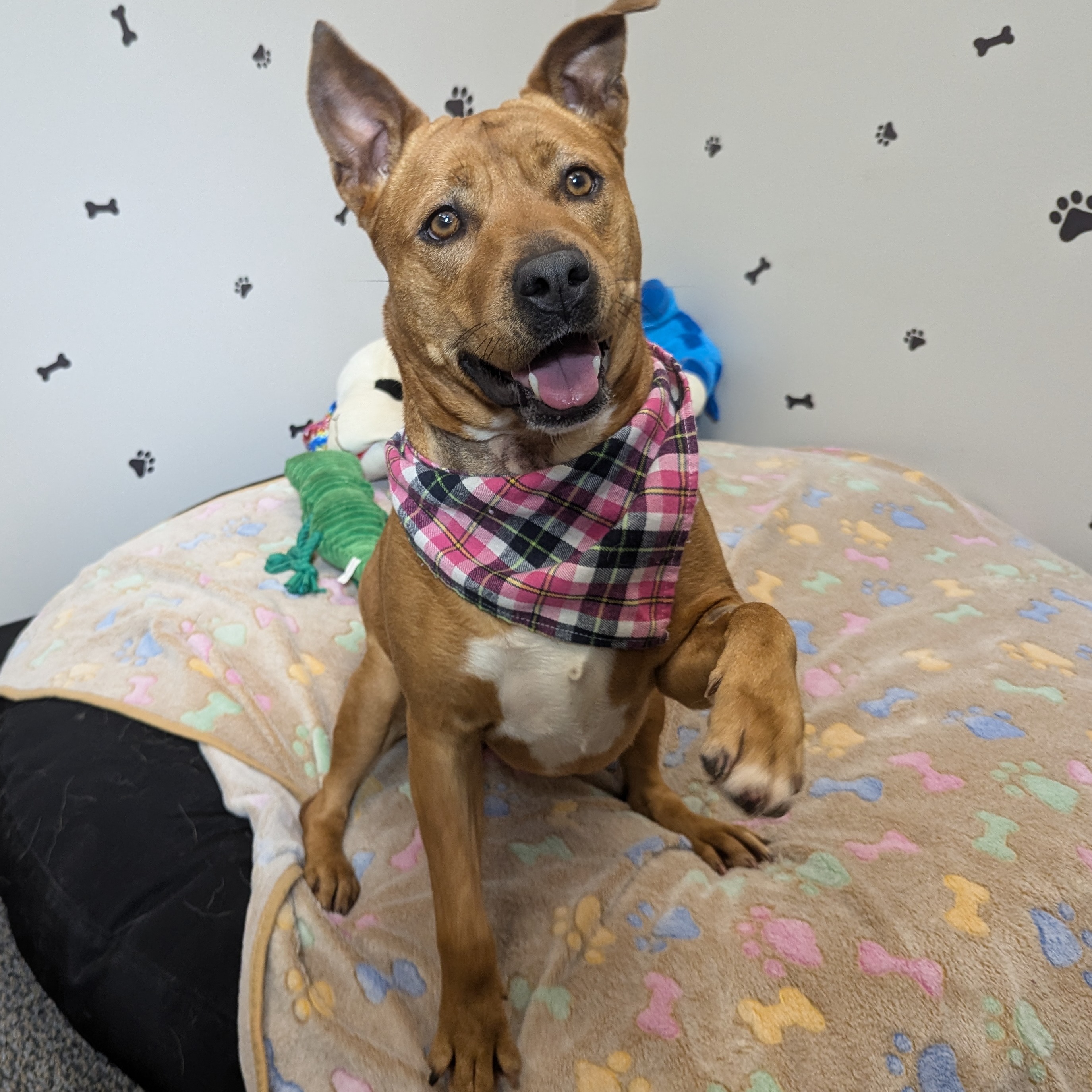 Honey — thumbnail 5