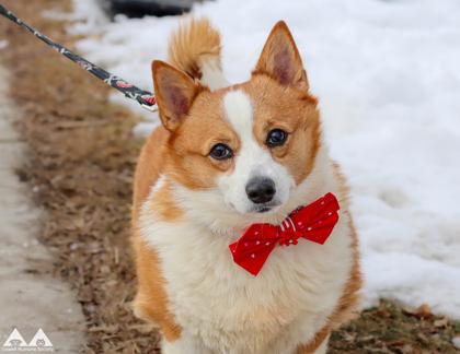 Luna — thumbnail 2