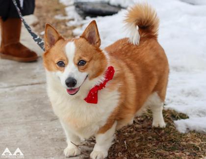 Luna — thumbnail 3