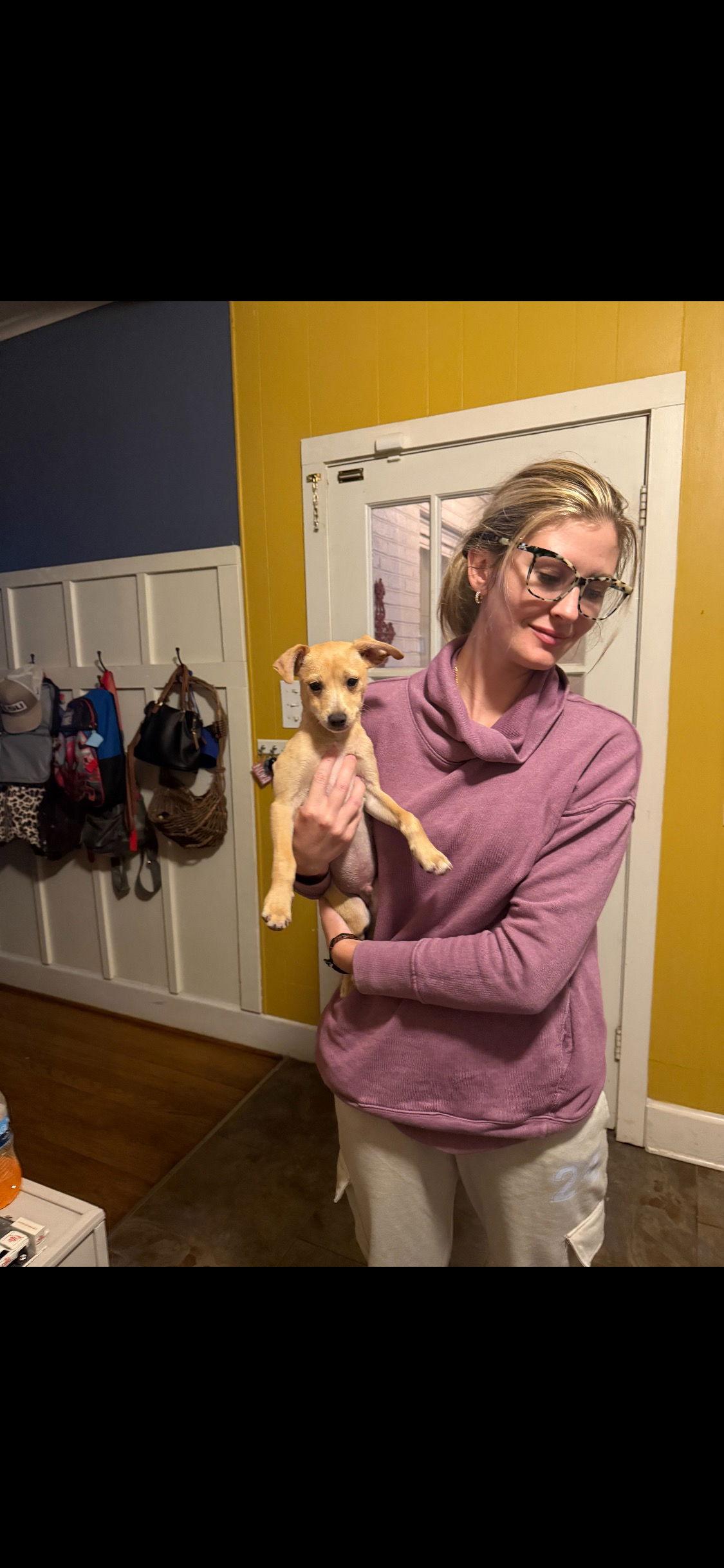 Enlarge Tiny Tim, a Adoptable mixed breed in Buffalo, MN image 3/3