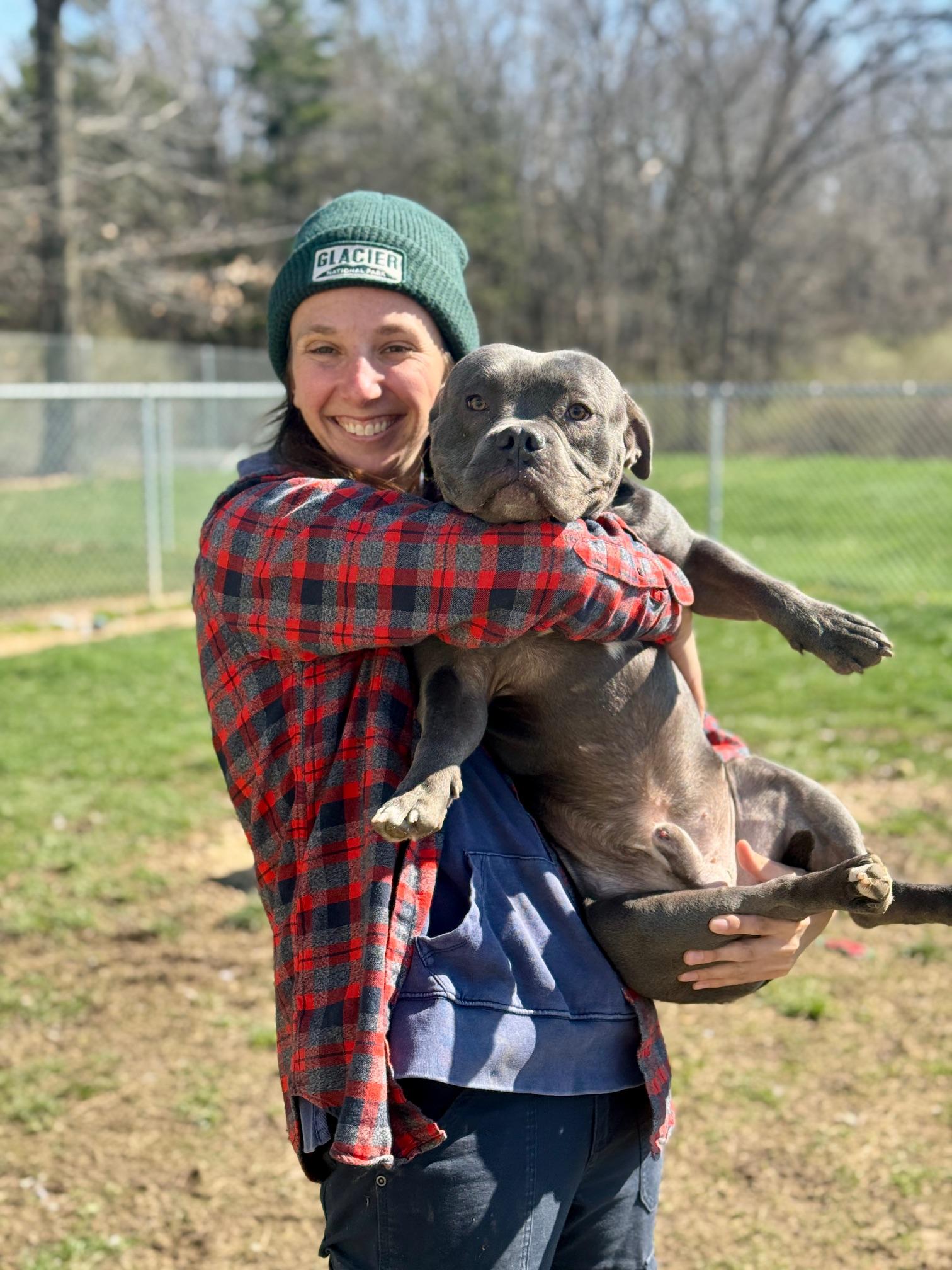 Enlarge King, an adopted mixed breed in Benton Harbor, MI image 4/6