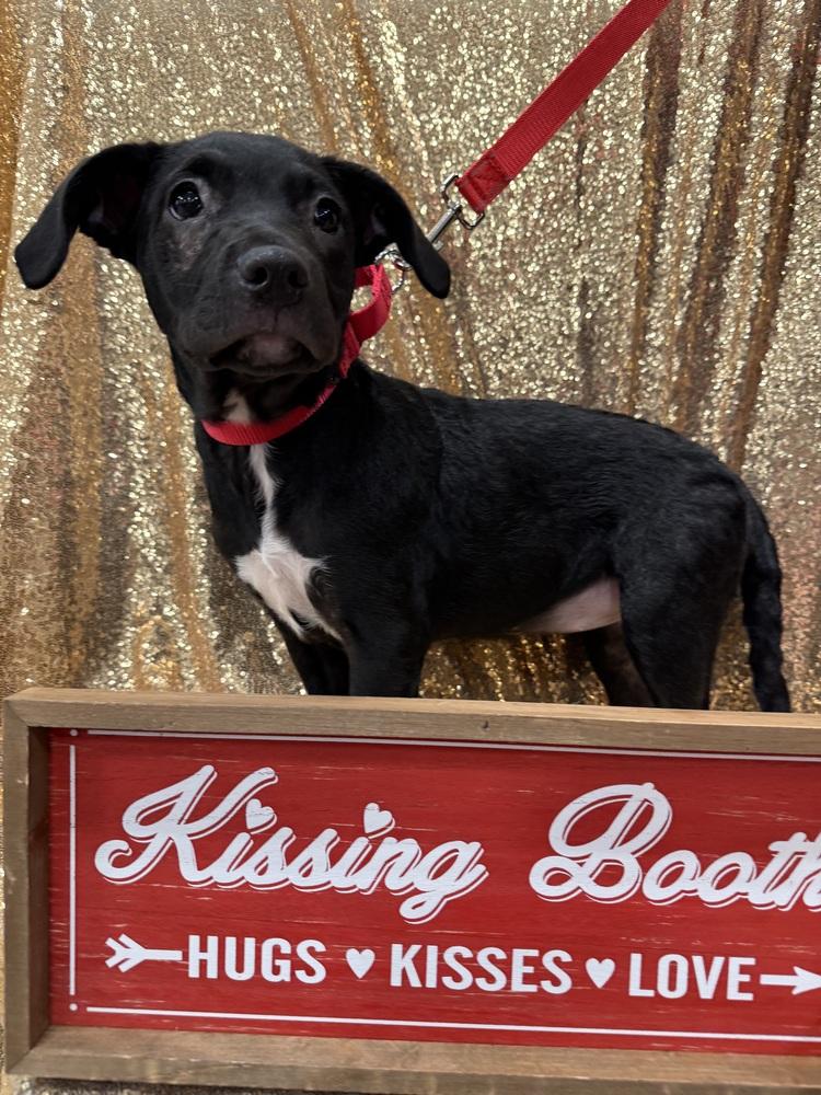 Gracie Lynne thumbnail 4