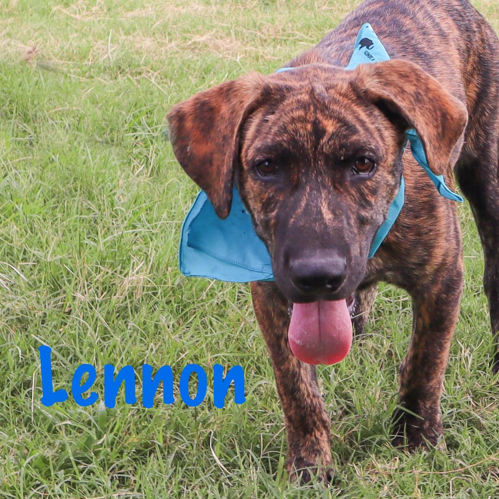 LENNON photo