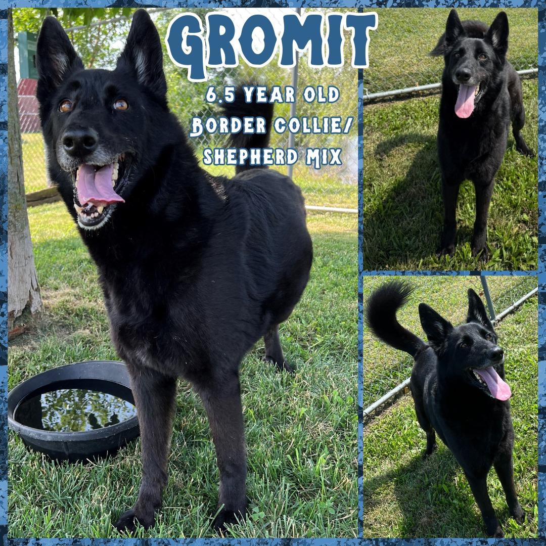 Gromit