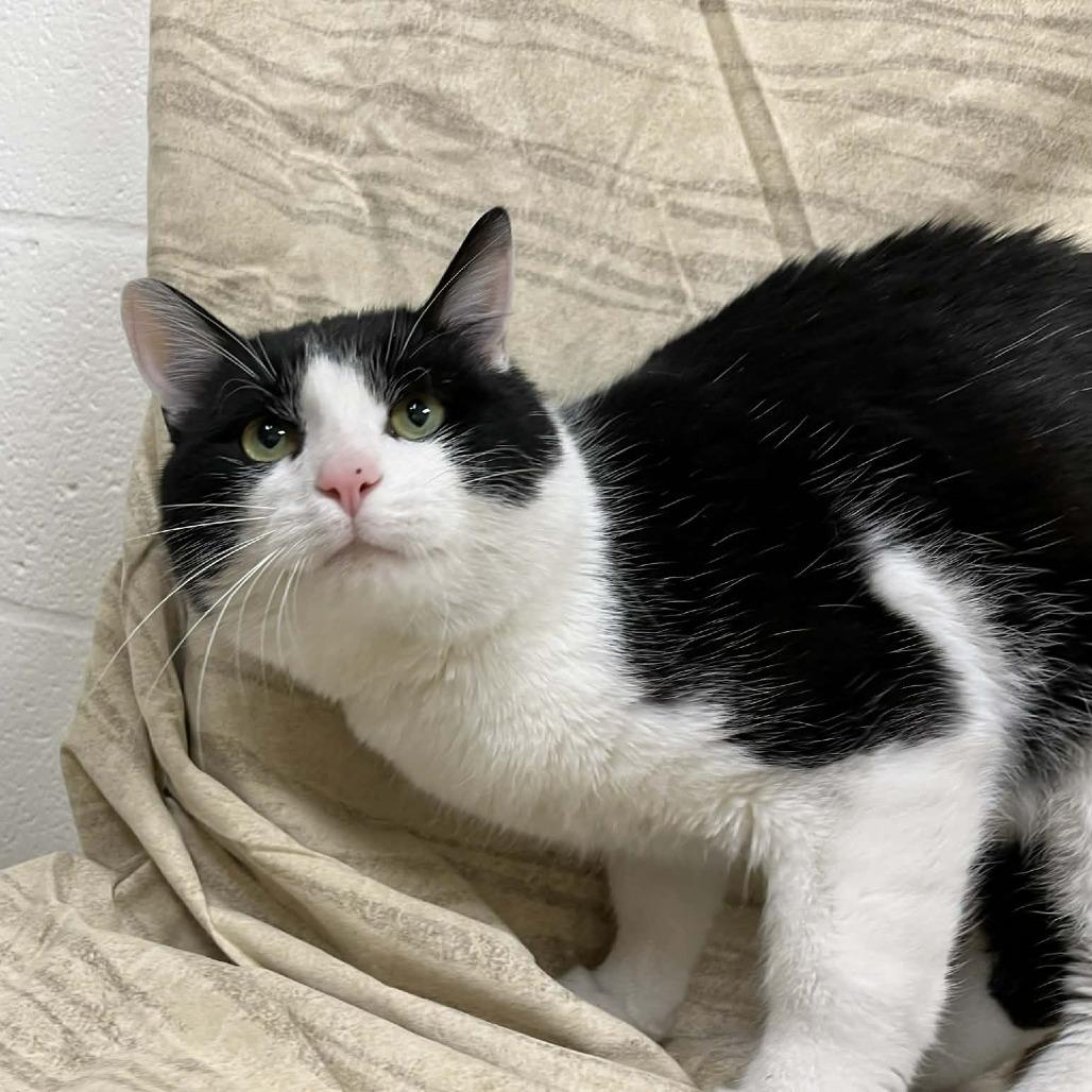 Haymitch — thumbnail 2