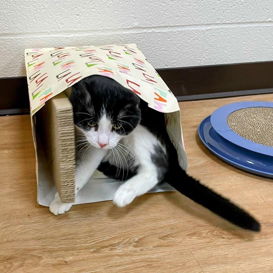 Haymitch — thumbnail 3