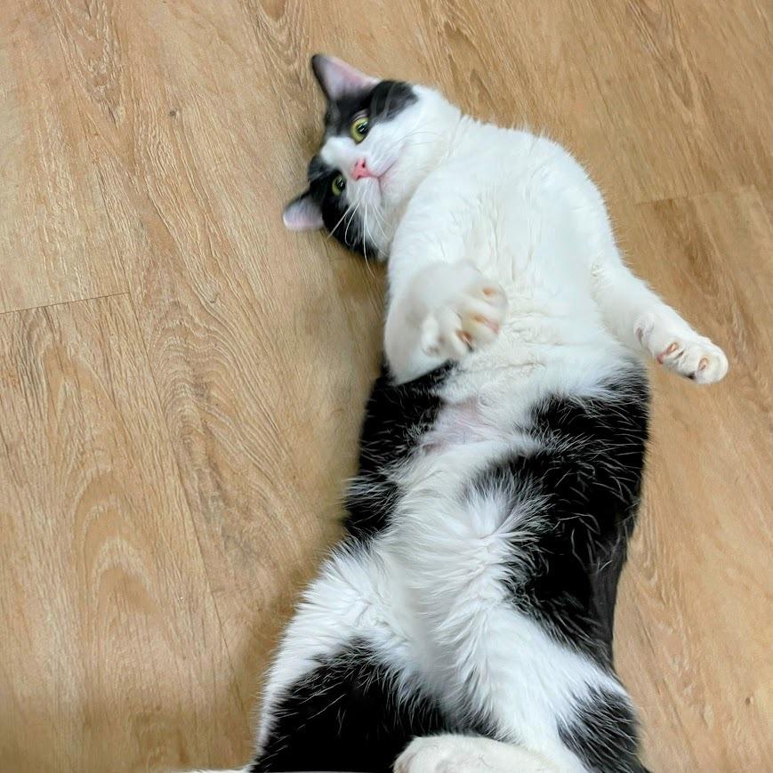 Haymitch — thumbnail 5