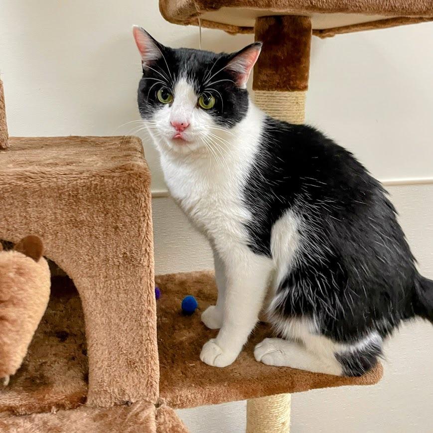 Haymitch — thumbnail 6