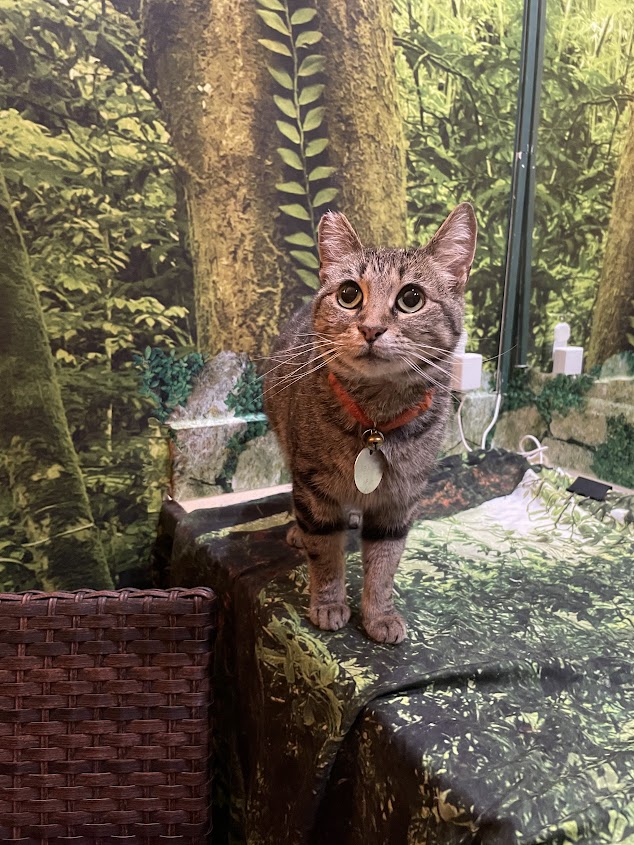 Penny — thumbnail 2