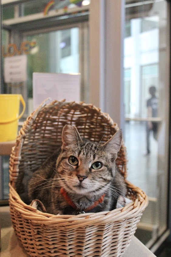 Penny — thumbnail 4