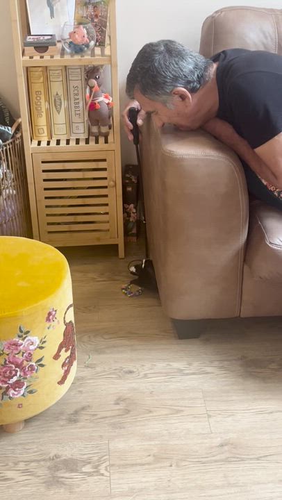 Enlarge Mommy Girl, a Adoptable Domestic Short Hair in Galloway, NJ video 4/5